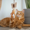 Jouet Canne à pêche papillon pour chat – Image 2